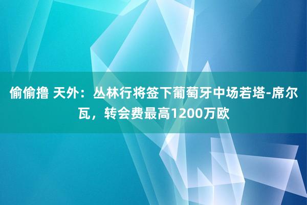 偷偷撸 天外：丛林行将签下葡萄牙中场若塔-席尔瓦，转会费最高1200万欧