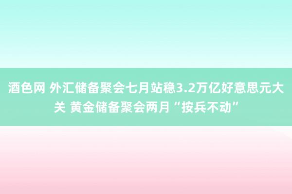 酒色网 外汇储备聚会七月站稳3.2万亿好意思元大关 黄金储备聚会两月“按兵不动”