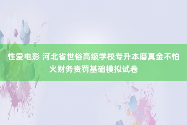 性爱电影 河北省世俗高级学校专升本磨真金不怕火财务责罚基础模拟试卷