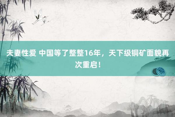 夫妻性爱 中国等了整整16年，天下级铜矿面貌再次重启！