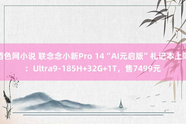 酒色网小说 联念念小新Pro 14“AI元启版”札记本上架：Ultra9-185H+32G+1T，售7499元