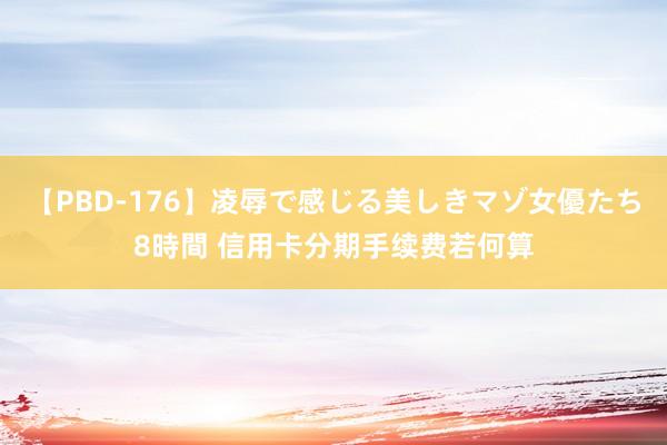 【PBD-176】凌辱で感じる美しきマゾ女優たち8時間 信用卡分期手续费若何算