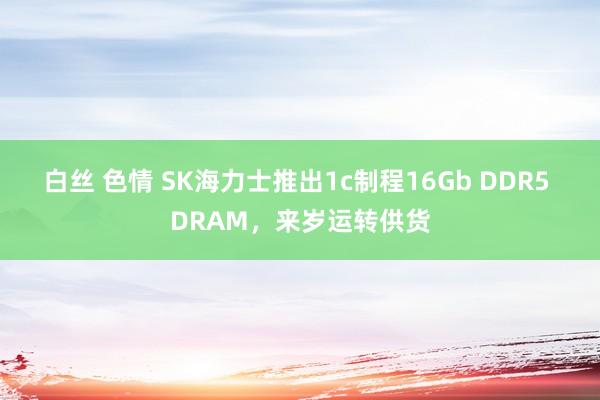 白丝 色情 SK海力士推出1c制程16Gb DDR5 DRAM，来岁运转供货