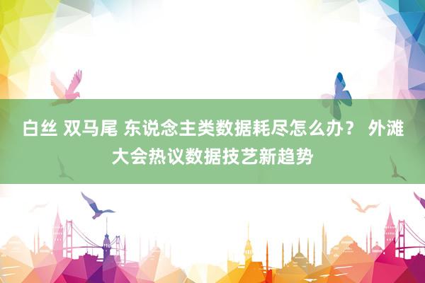 白丝 双马尾 东说念主类数据耗尽怎么办？ 外滩大会热议数据技艺新趋势