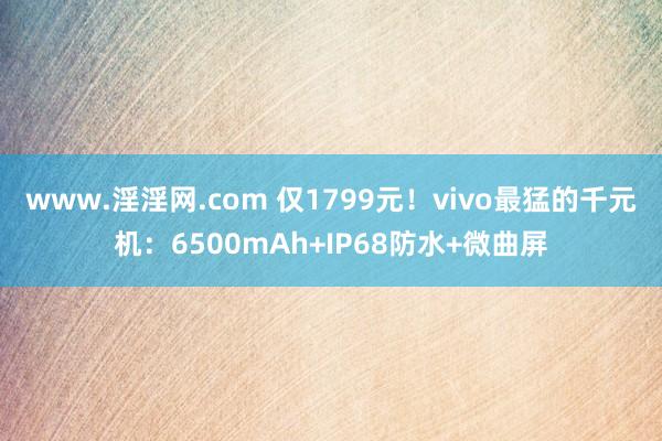 www.淫淫网.com 仅1799元！vivo最猛的千元机：6500mAh+IP68防水+微曲屏