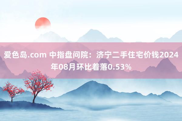 爱色岛.com 中指盘问院：济宁二手住宅价钱2024年08月环比着落0.53%